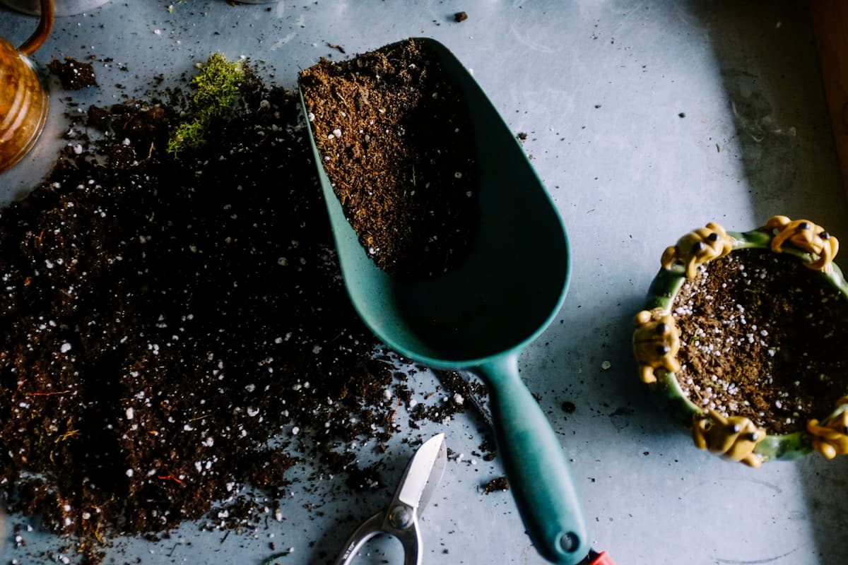 Seasonal Garden Maintenance Tips for Perth