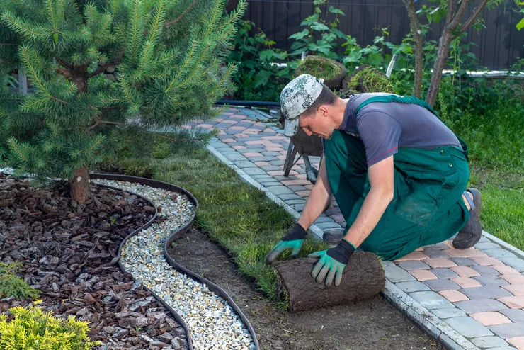 Lawn Mowing and Edging