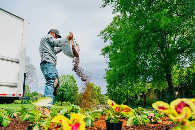 Weeding and Weed Control in Perth — Green Shoots Gardening