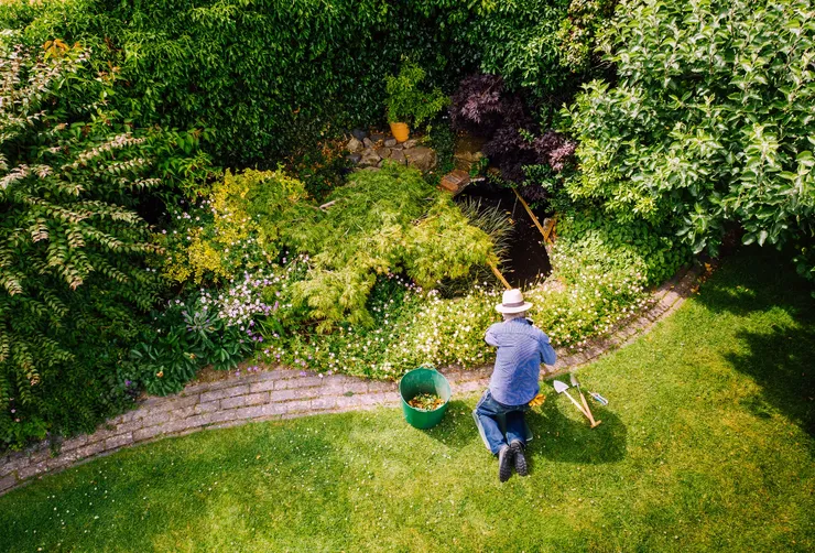 Pruning and Hedging in Perth — Green Shoots Gardening