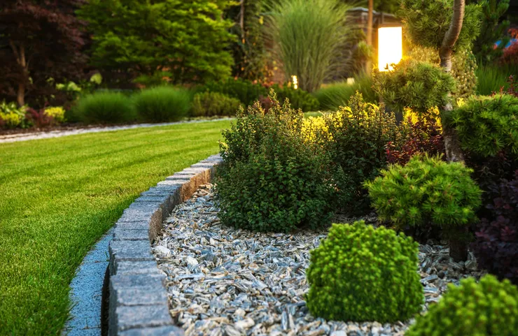 Garden Bed Maintenance in Perth — Green Shoots Gardening
