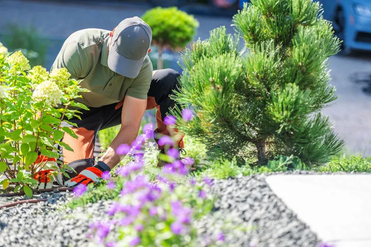 Inspection-Ready Garden Maintenance in Perth — Green Shoots Gardening